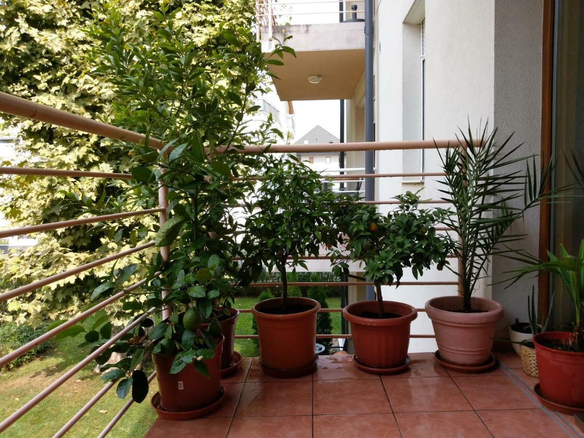 Mandarin Wellness Apartman Siófok Exterior foto
